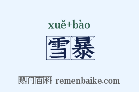 雪暴是什么意思的图片